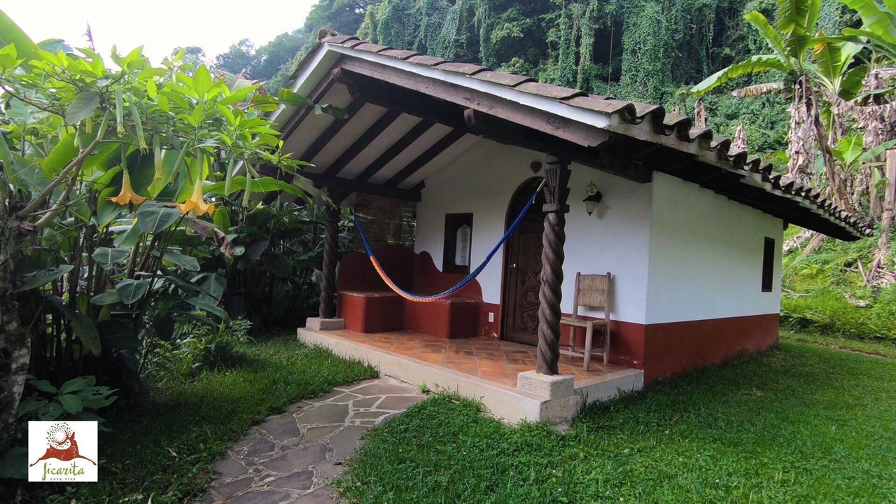 Photo of Outdoor in Coatepec