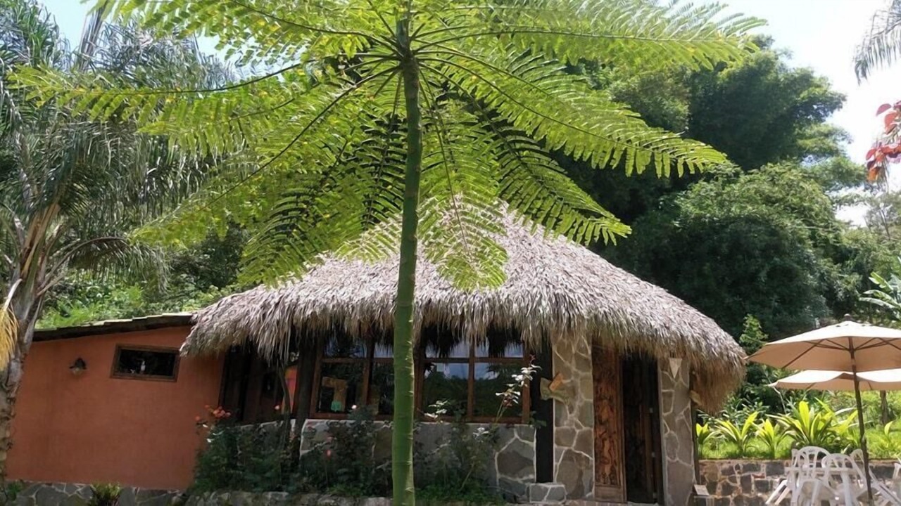 Photo of Outdoor in Coatepec
