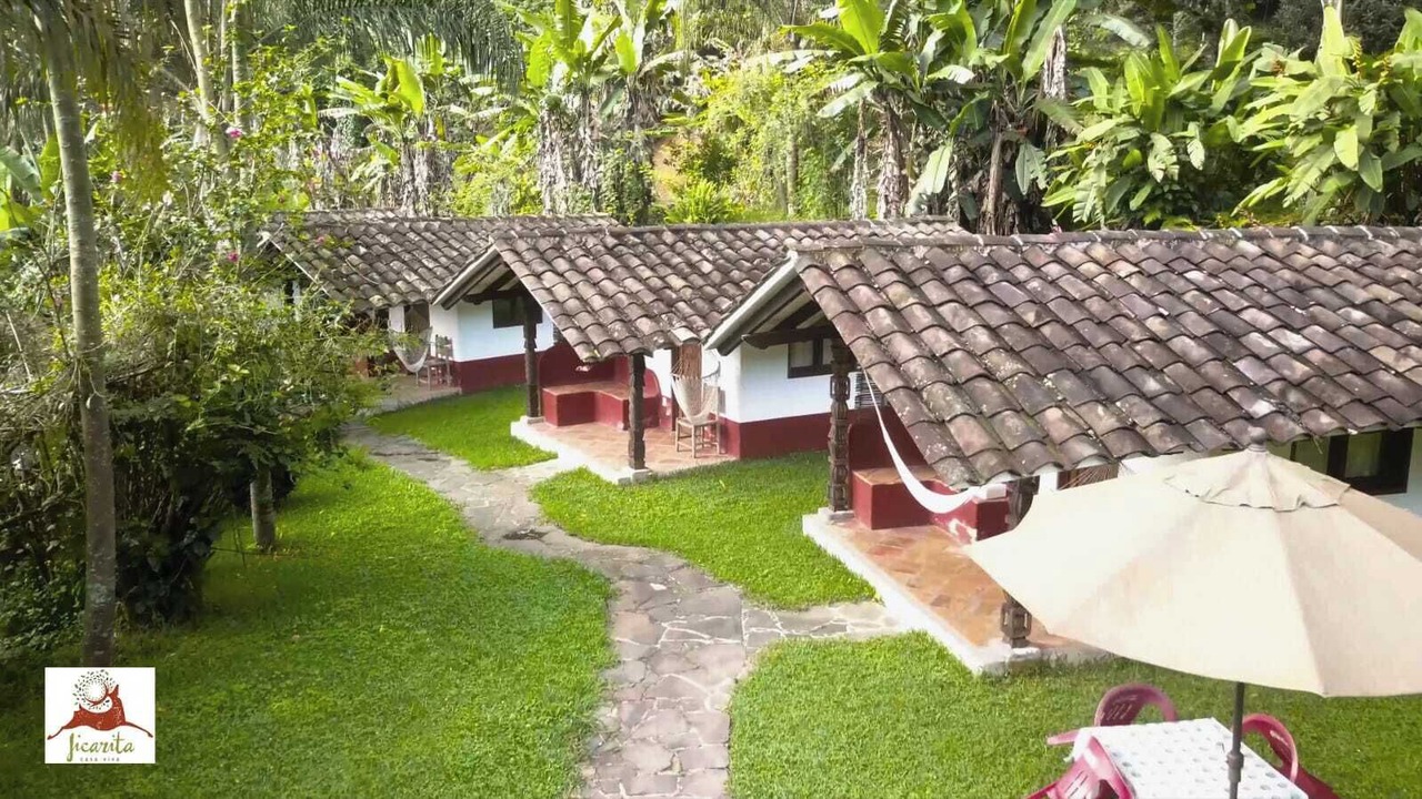 Photo of Outdoor in Coatepec