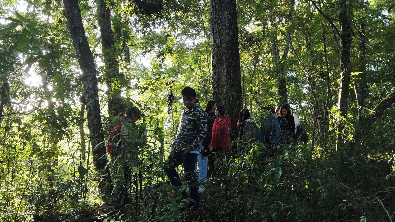 Photo of Outdoor in Coatepec