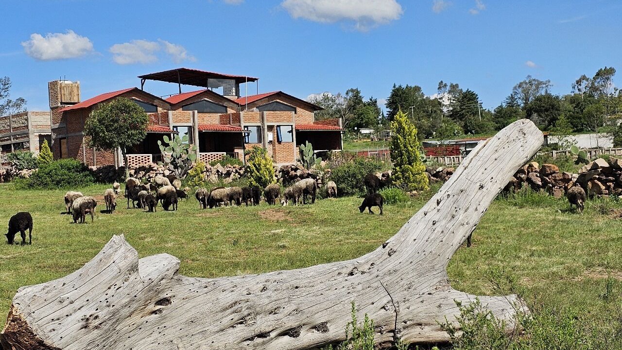Photo of Outdoor in Amealco