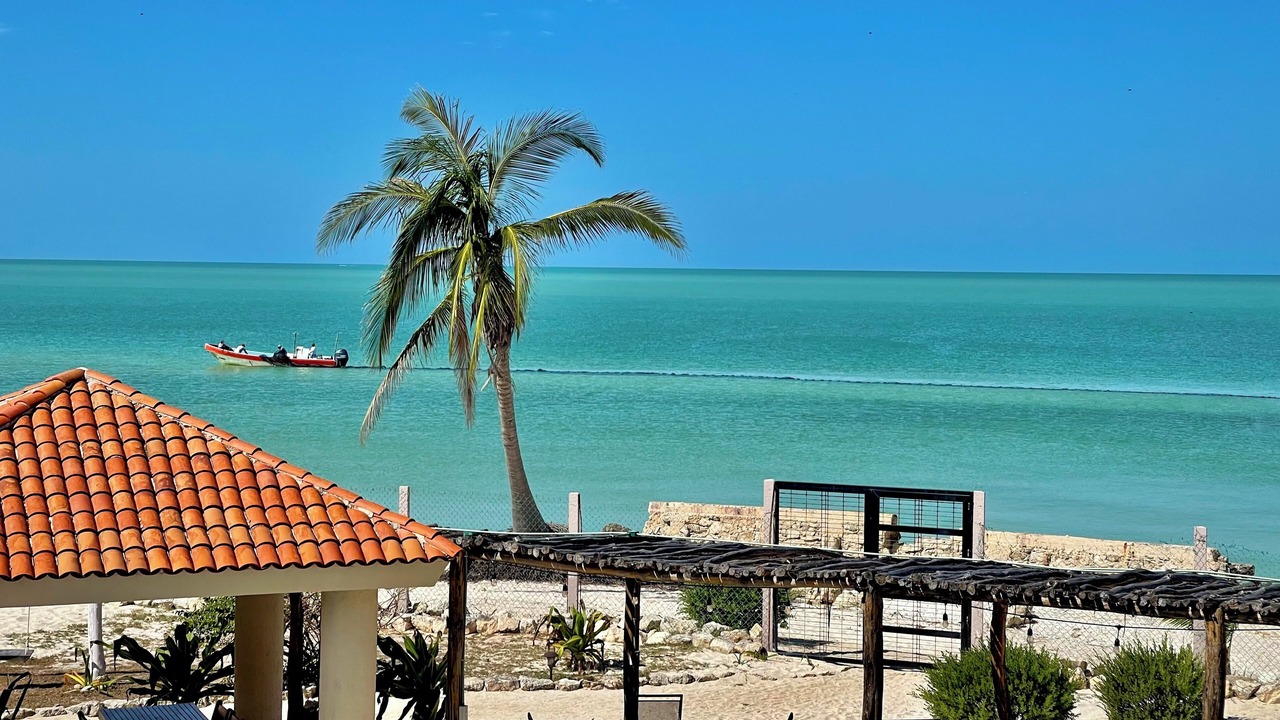 Photo of Outdoor in Celestun