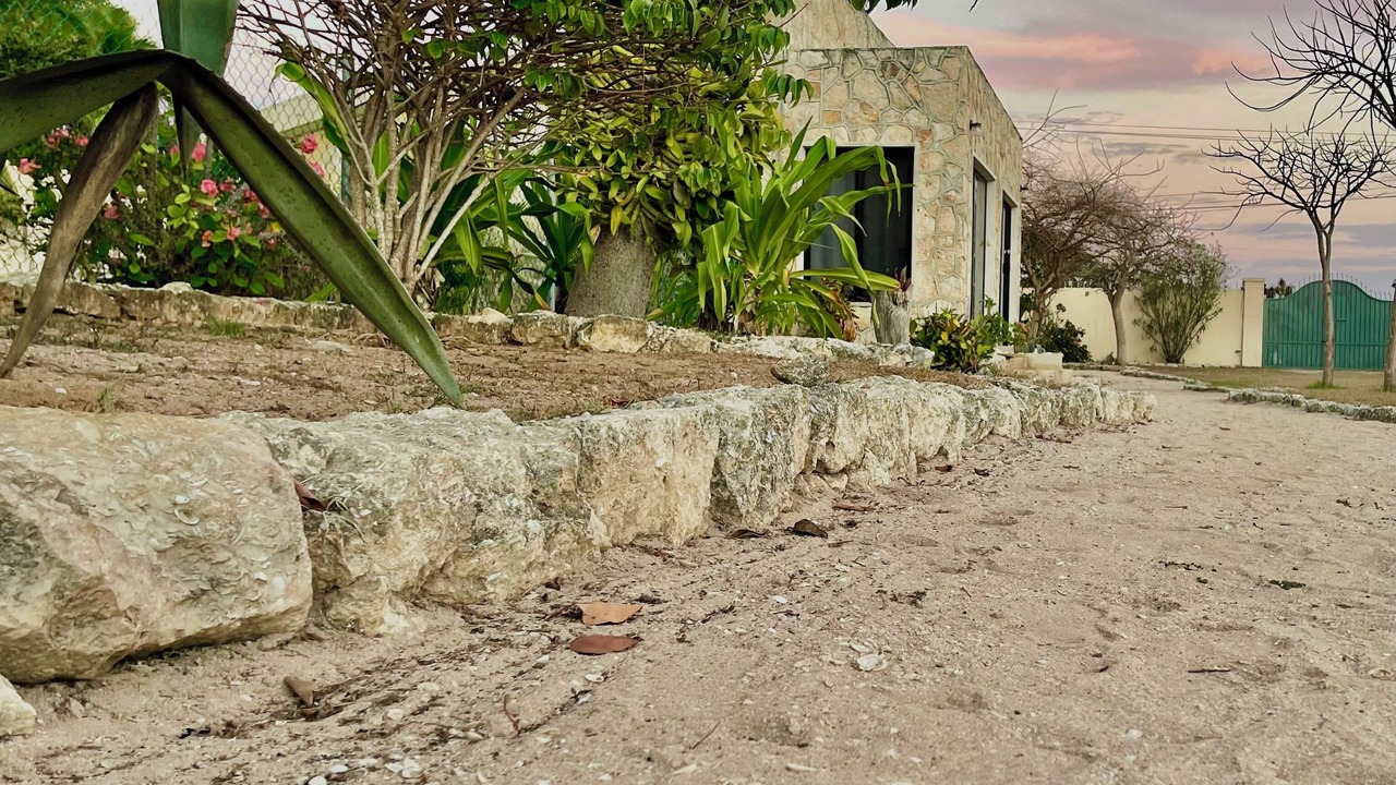 Photo of Outdoor in Celestun