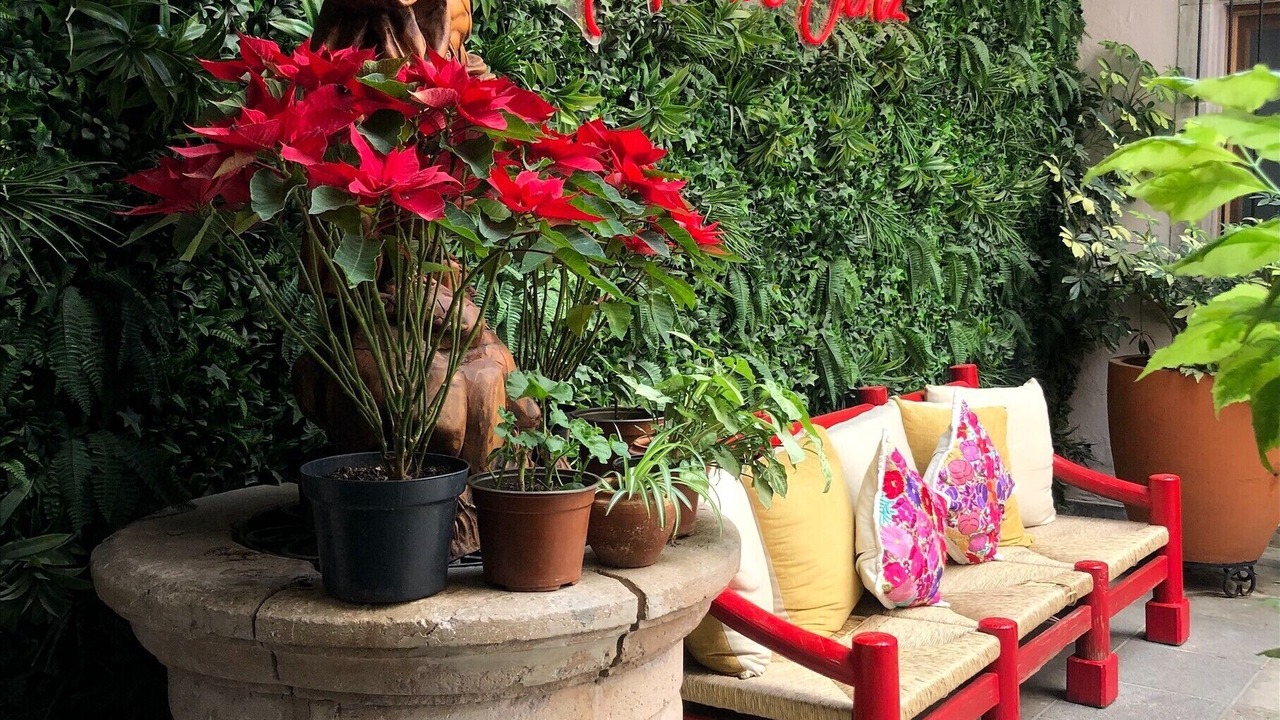 Photo of Bedroom in Jerez de Garcia Salinas