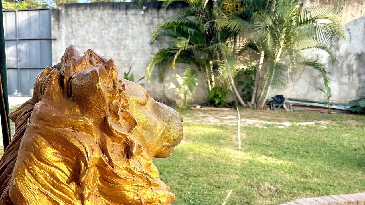 Photo of Outdoor in Puerto Vallarta