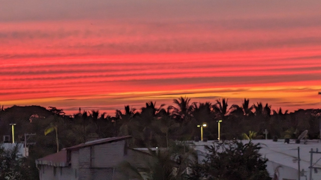 Photo of Others in Puerto Vallarta