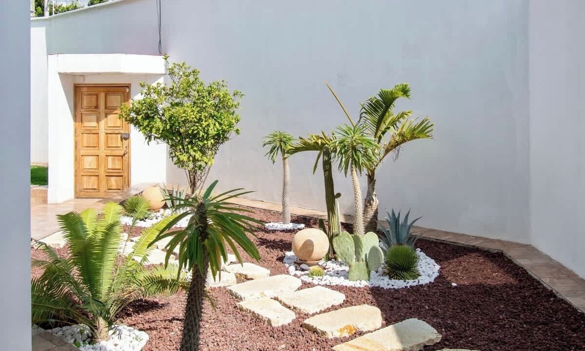 Photo of Outdoor in San Felipe
