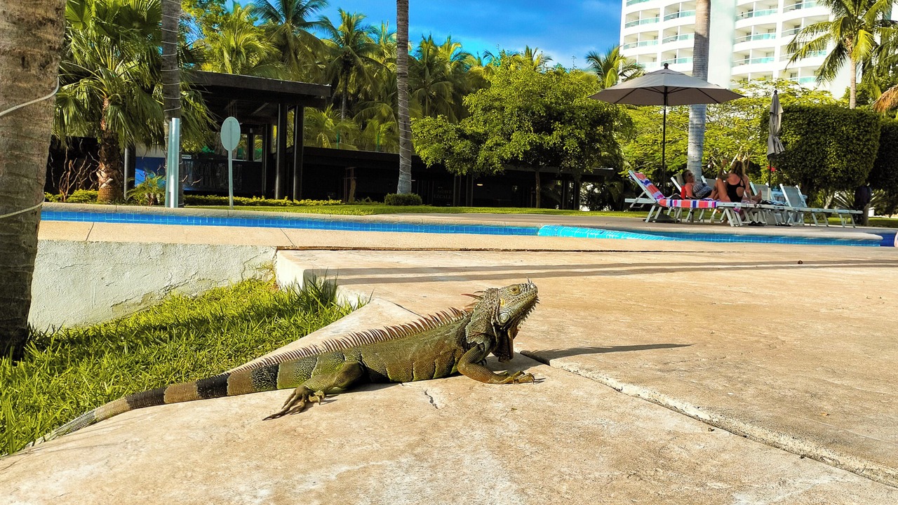 Photo of Outdoor in Nuevo Vallarta