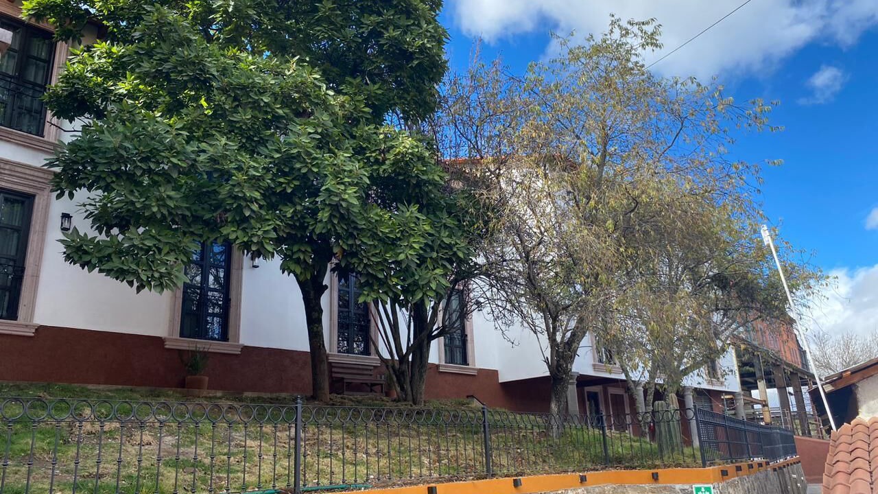 Photo of Outdoor in El Oro