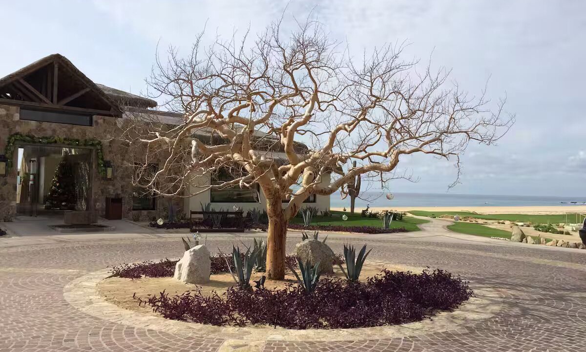 Photo of Outdoor in Libertad