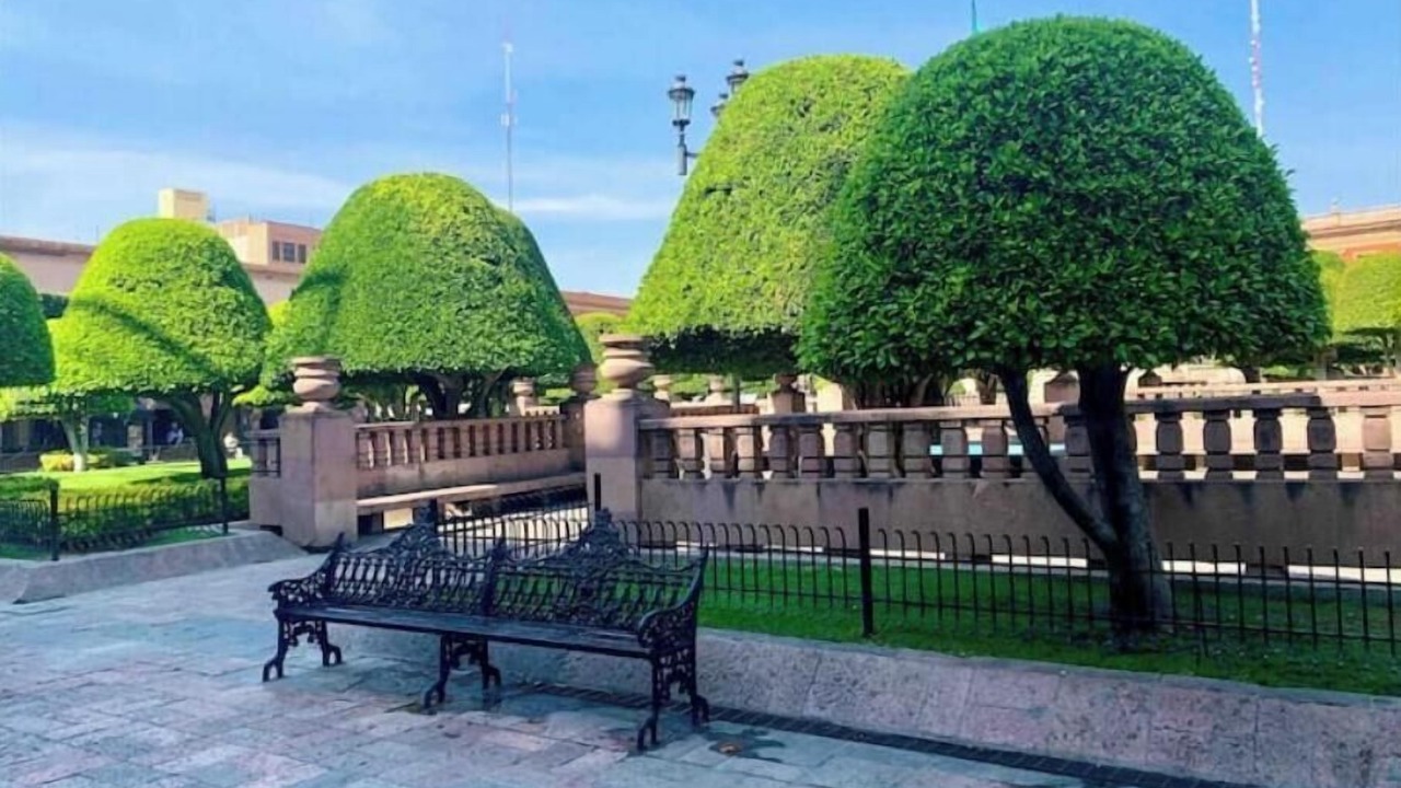 Photo of Patio Balcony in Los Mochis