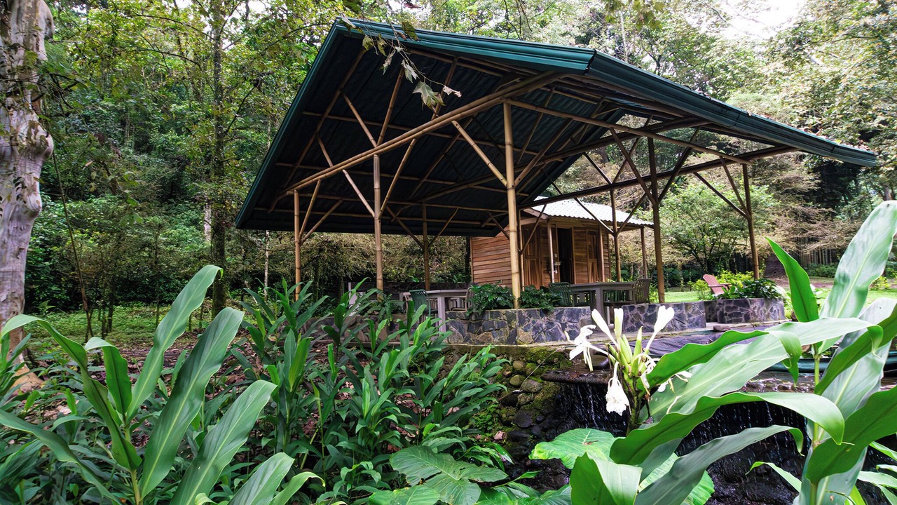Photo of Livingroom in Coscomatepec