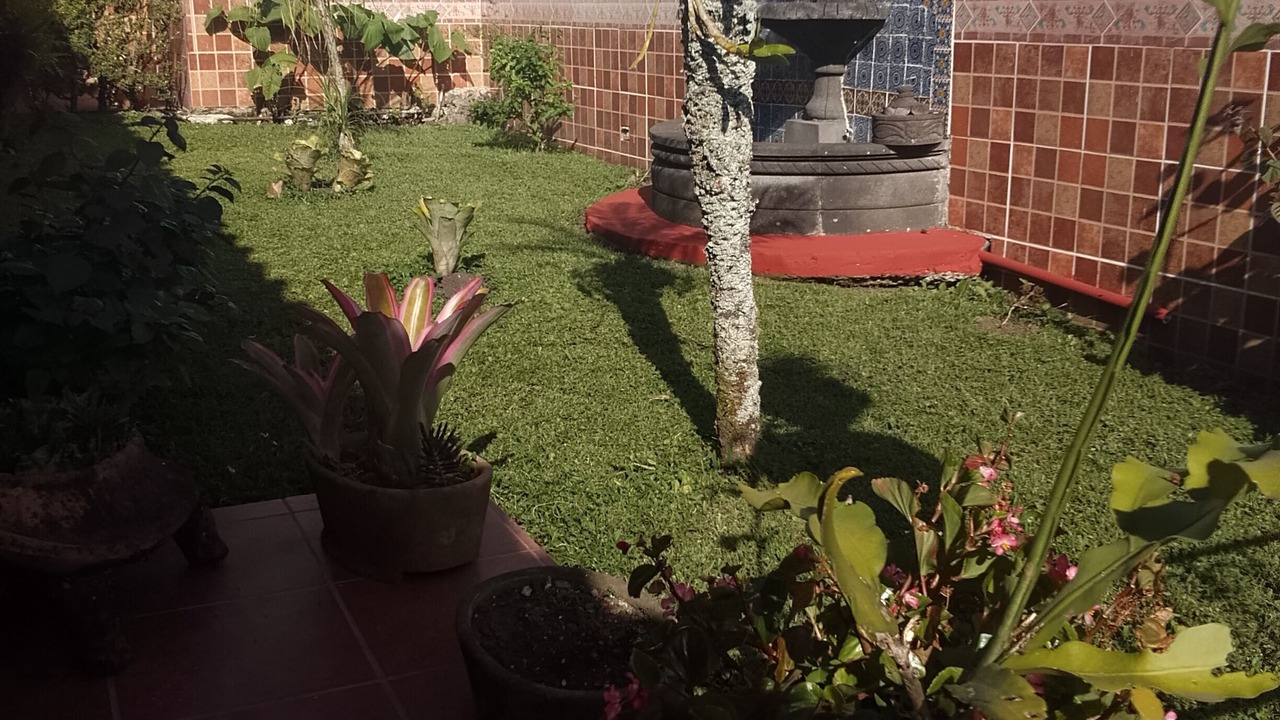Photo of Outdoor in Xico