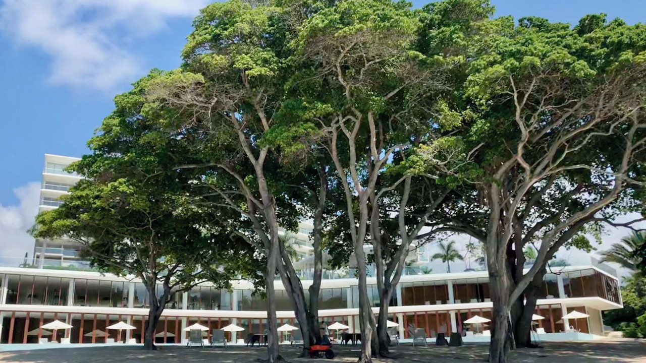 Photo of Outdoor in Centro