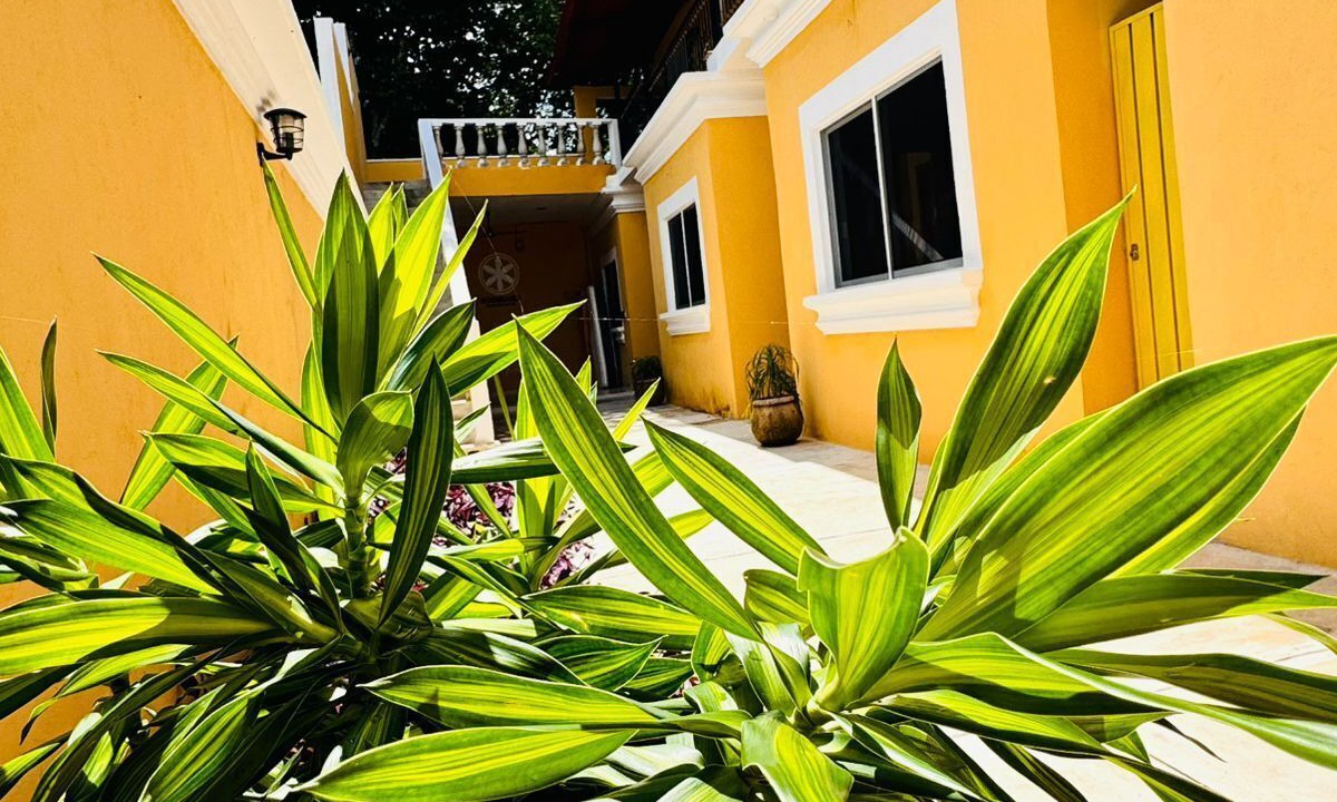 Photo of Outdoor in Izamal