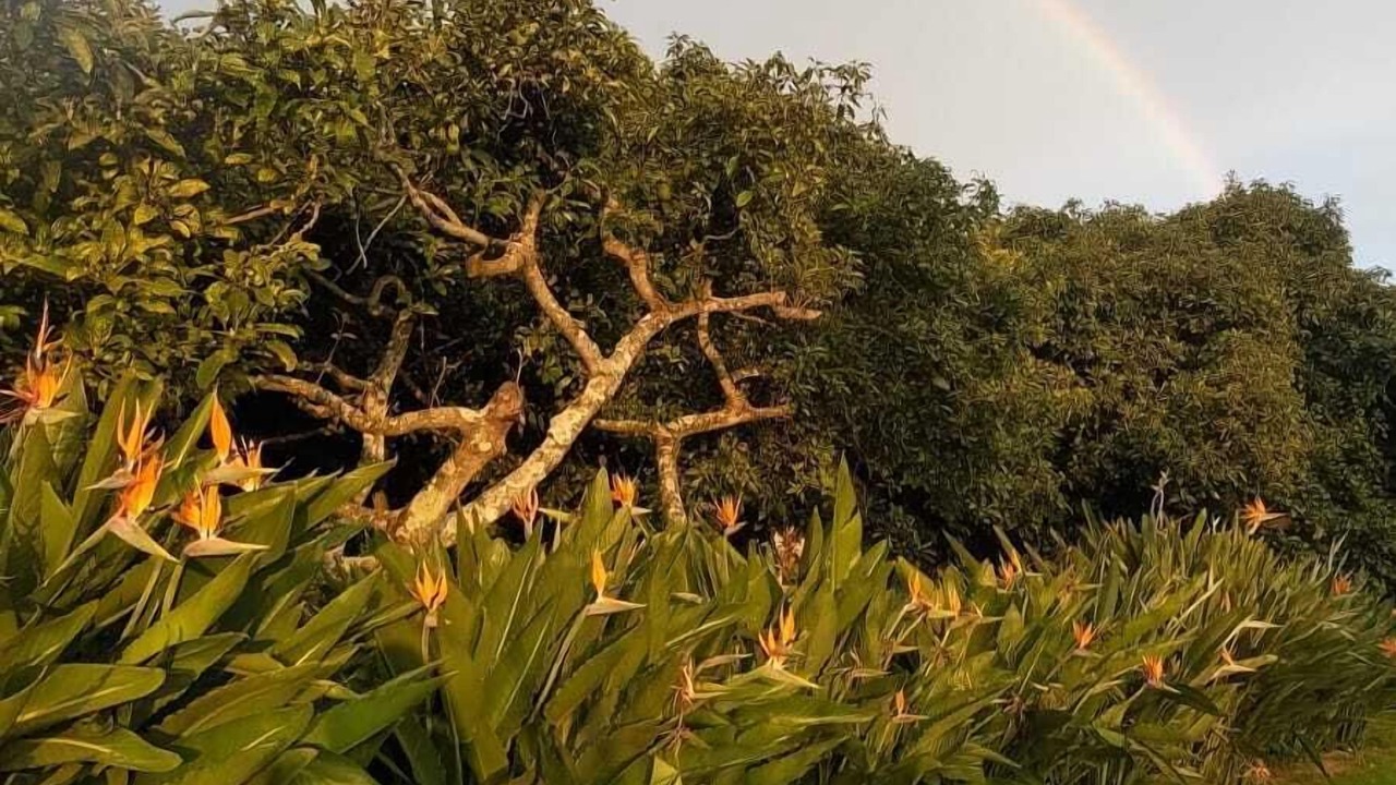 Photo of Outdoor in El Santuario