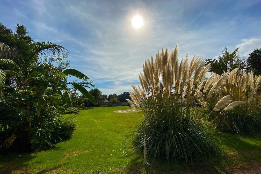 Photo of Outdoor in El Santuario