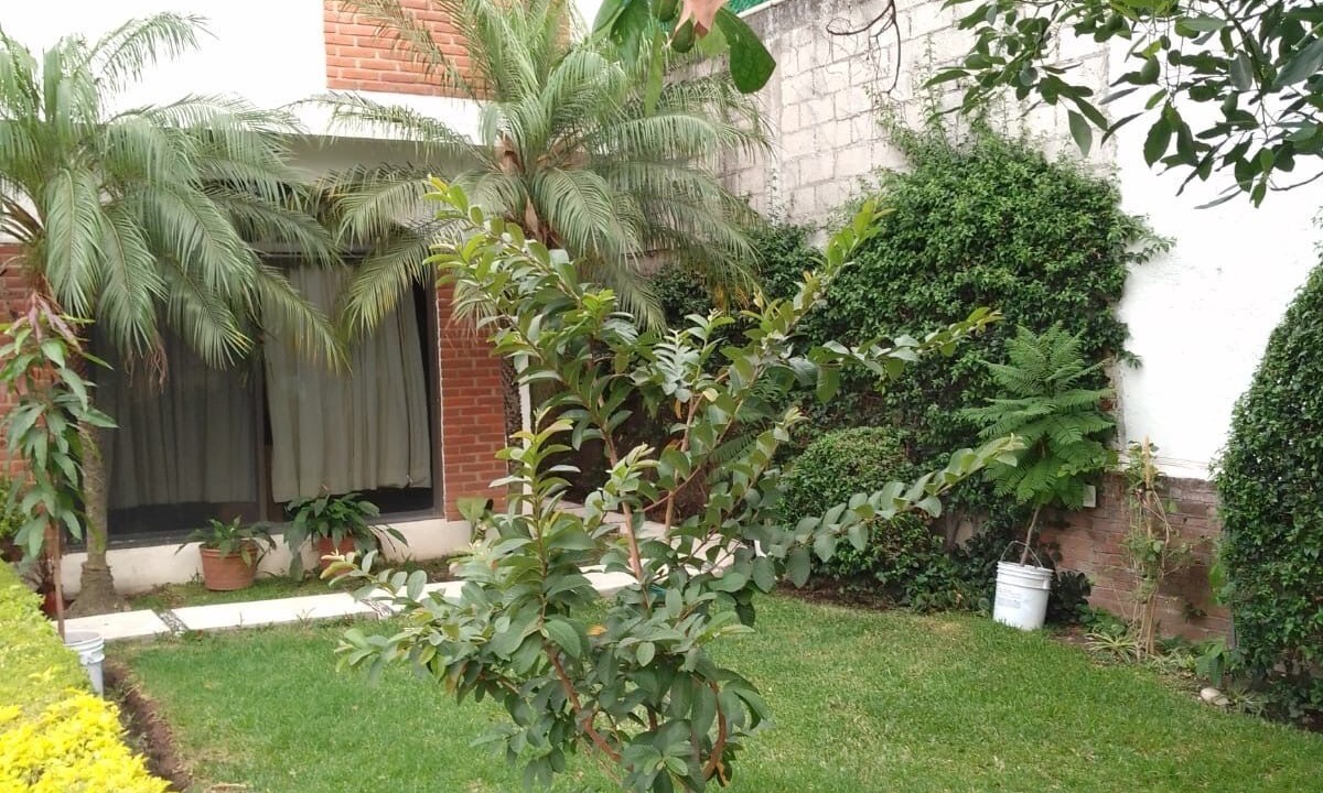 Photo of Outdoor in Oaxtepec