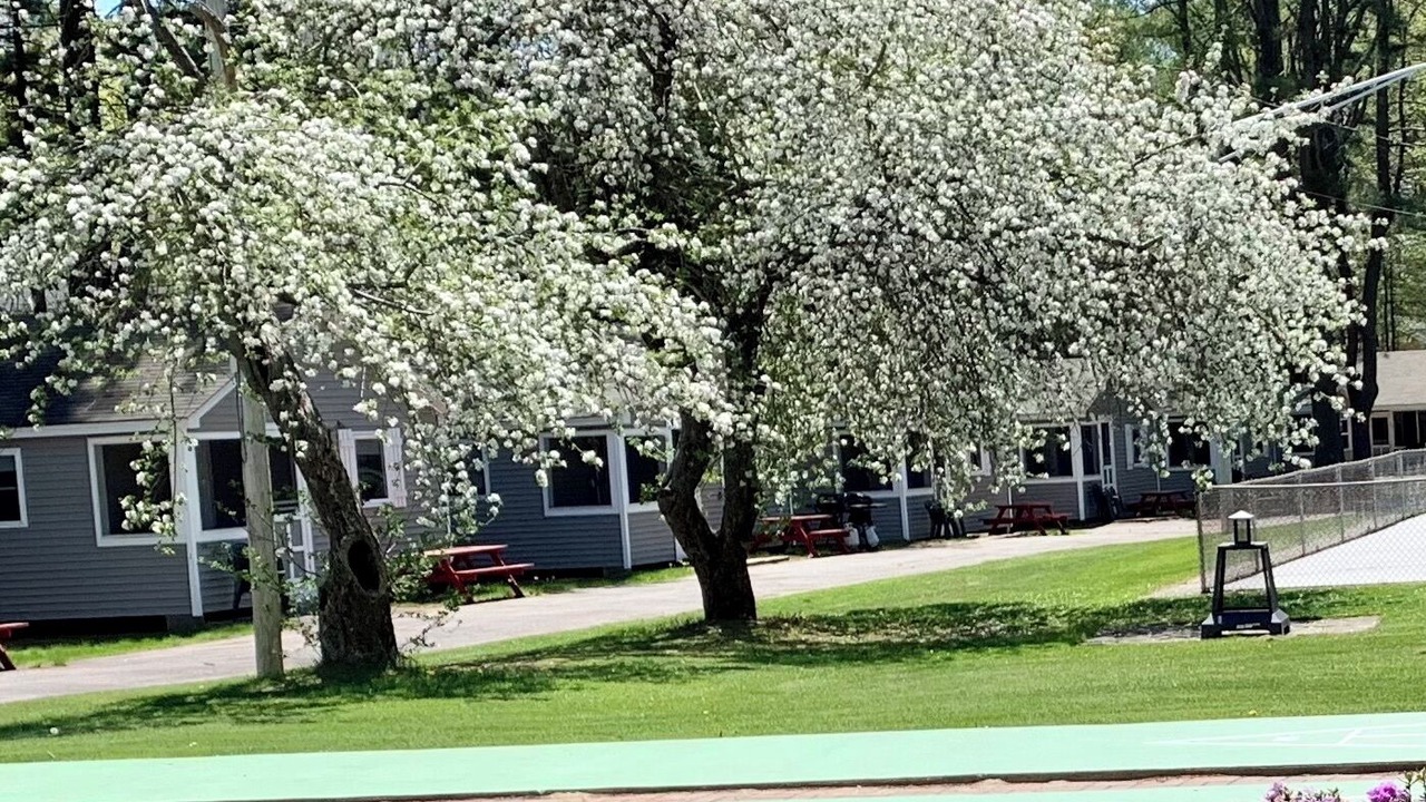 Photo of Outdoor in Old Orchard Beach