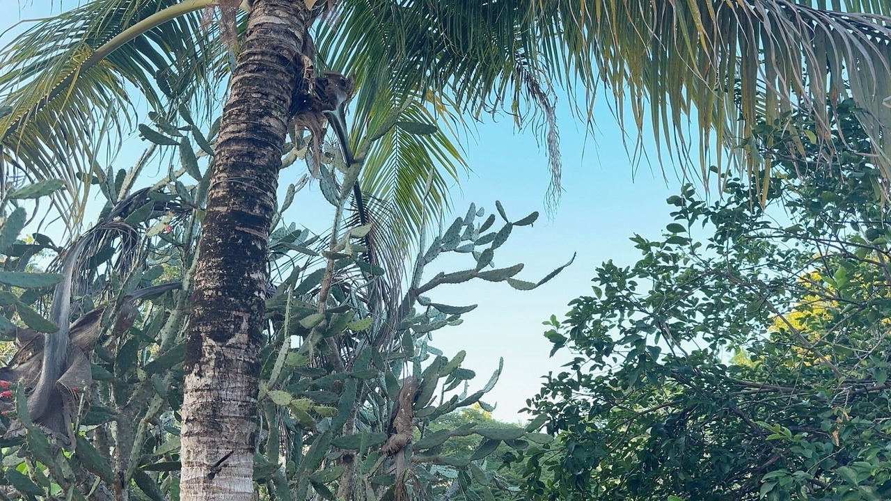 Photo of Others in Santa Elena