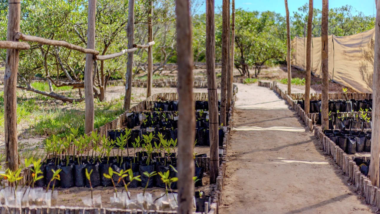 Photo of Outdoor in Dzilam de Bravo
