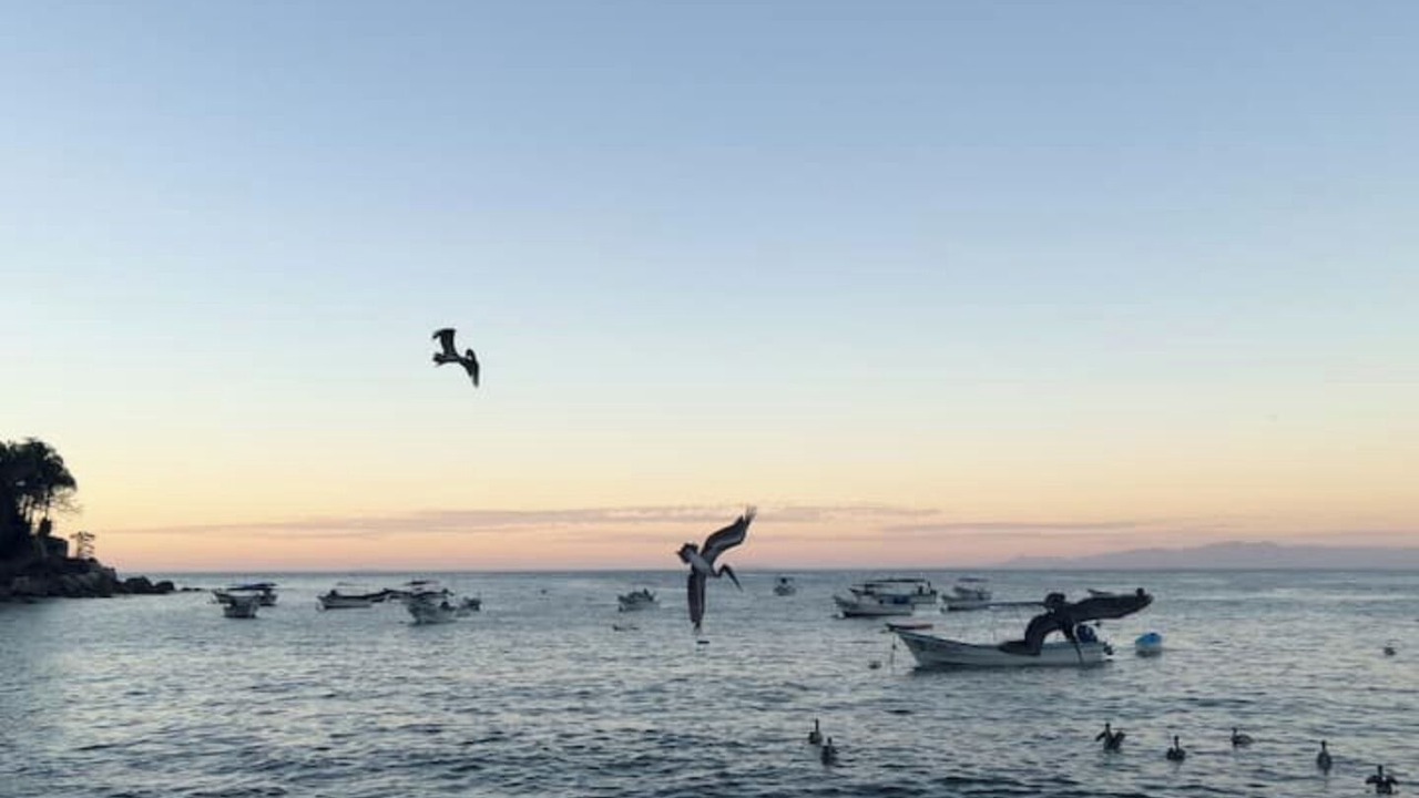 Photo of Others in Yelapa