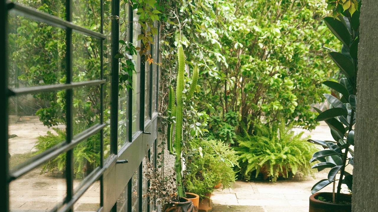 Photo of Patio Balcony in Lafayette