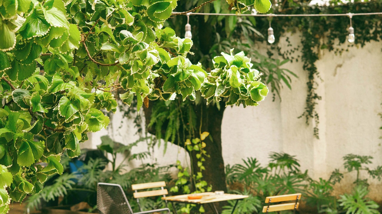 Photo of Patio Balcony in Lafayette