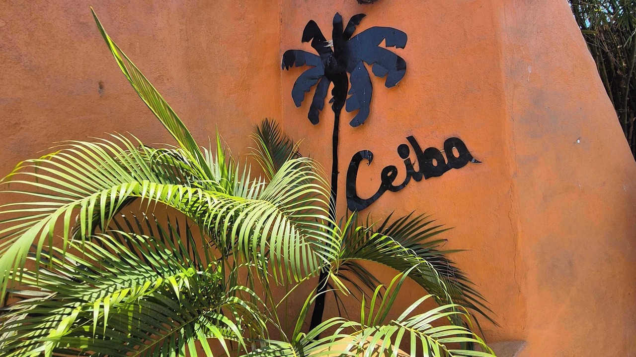 Photo of Outdoor in Playa la Madera