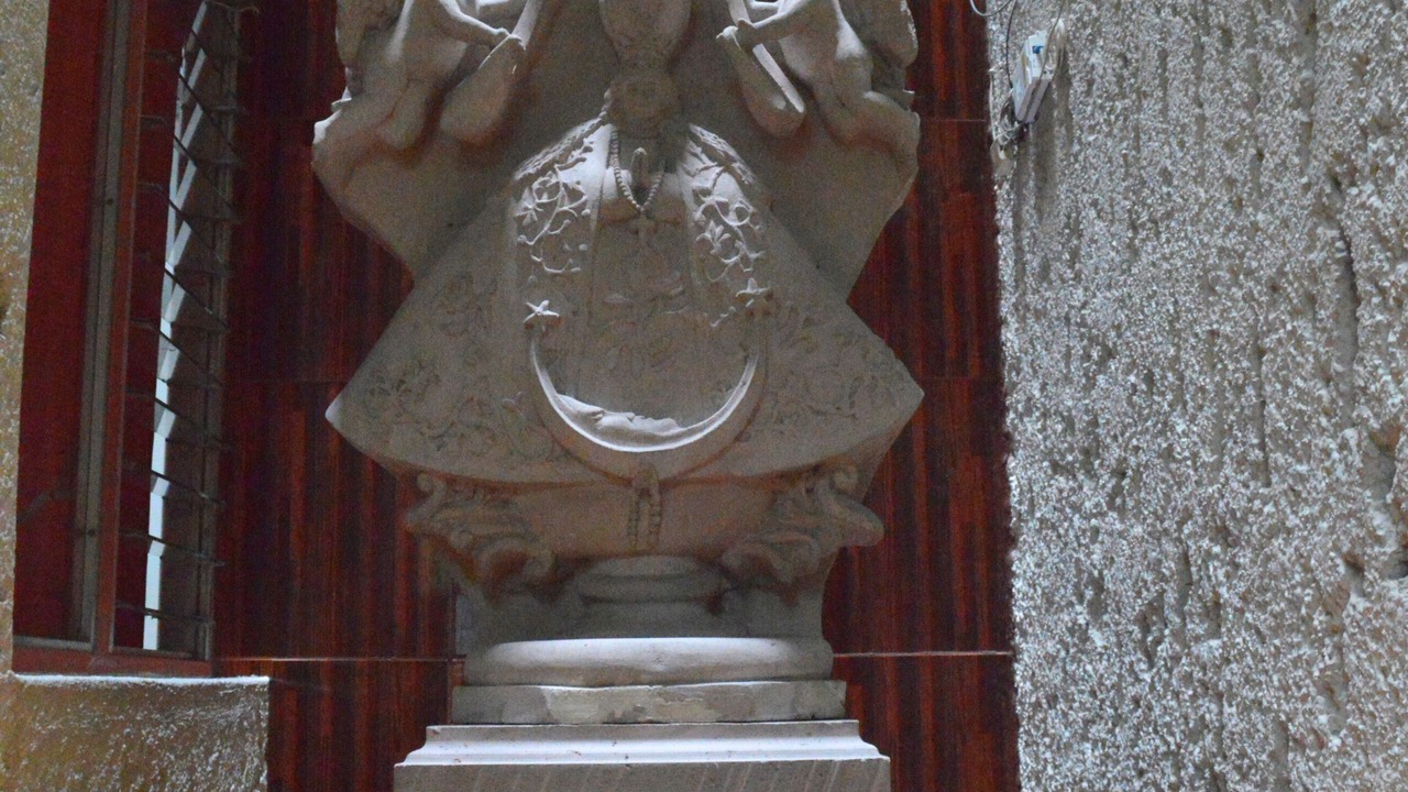 Photo of Others in San Juan de los Lagos