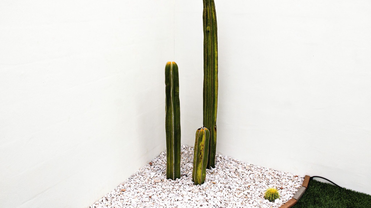 Photo of Outdoor in Hermosillo