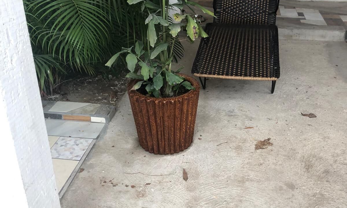 Photo of Outdoor in Puerto Vallarta