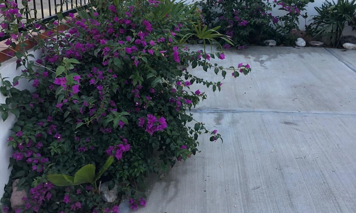Photo of Outdoor in Puerto Vallarta