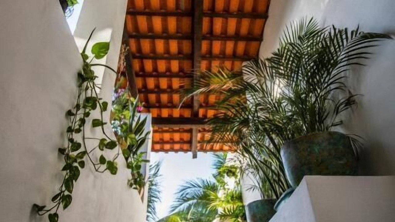 Photo of Others in Sayulita