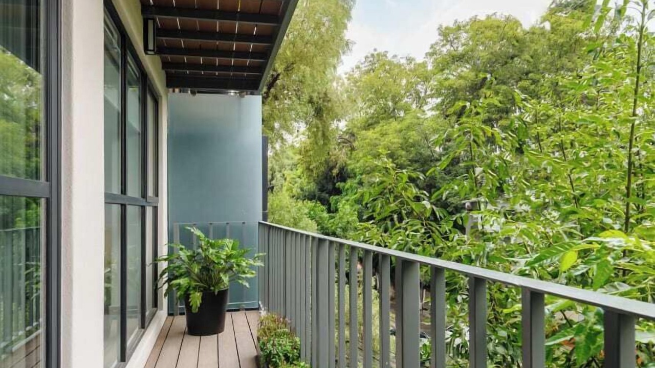 Photo of Outdoor in Escandon