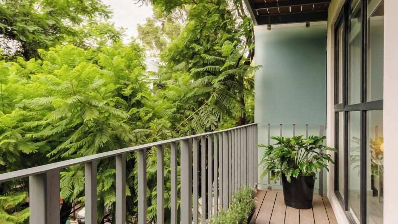 Photo of Outdoor in Escandon