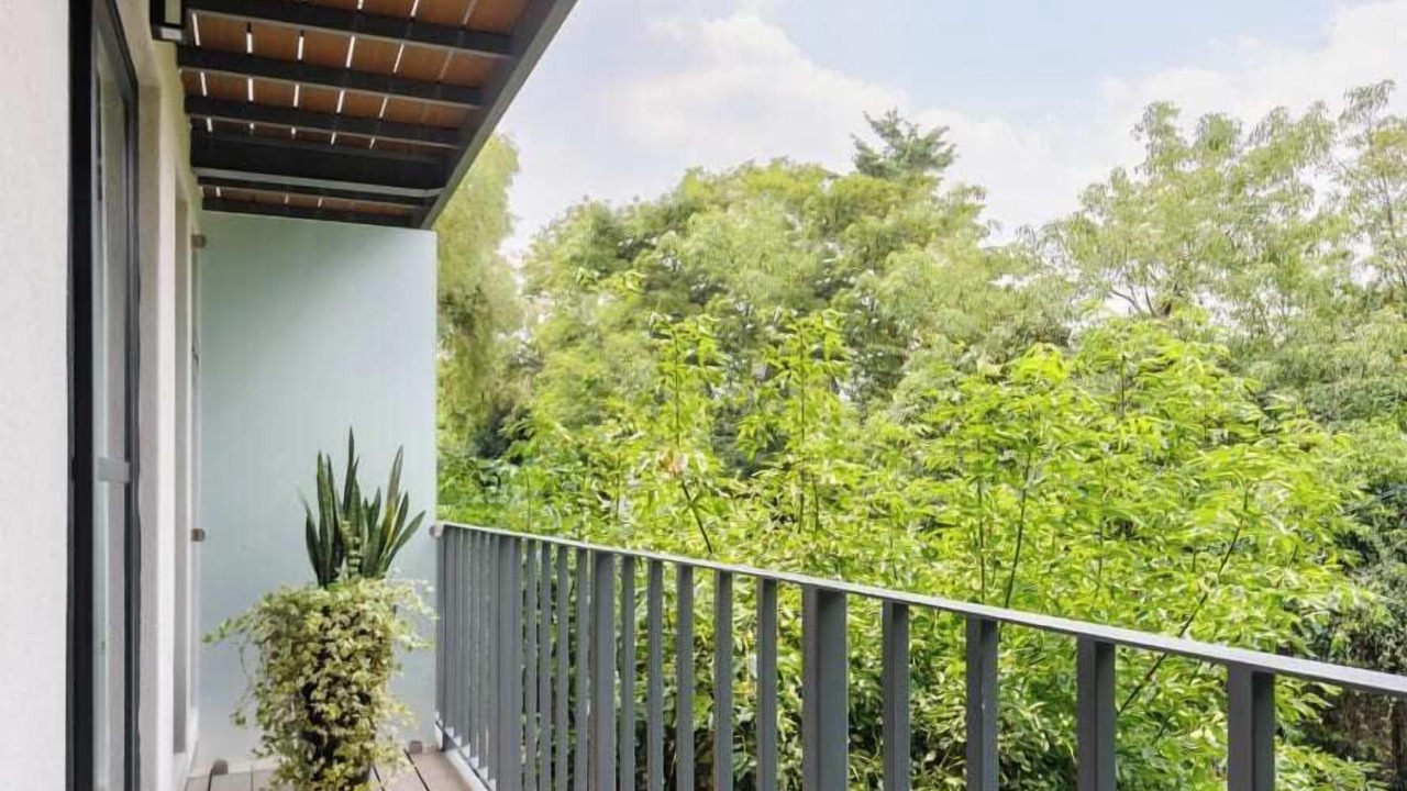 Photo of Outdoor in Escandon