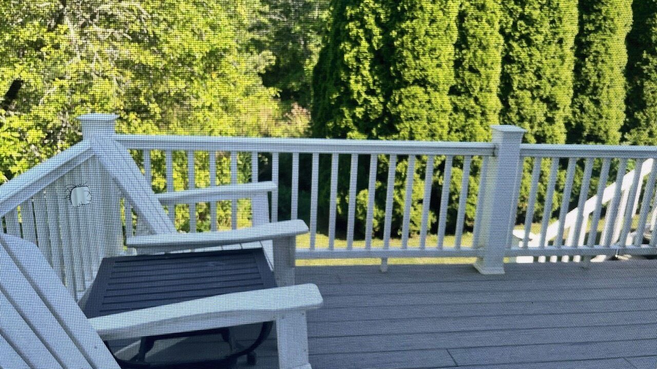 Photo of Outdoor in Round Pond