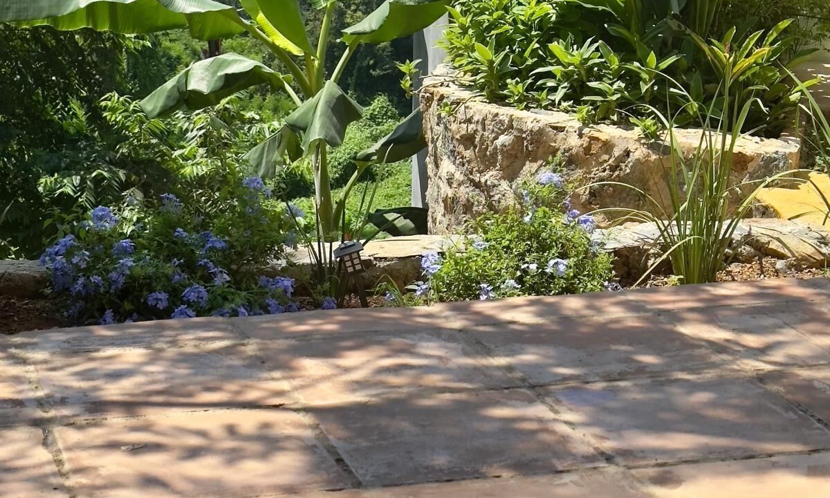 Photo of Outdoor in Troncones