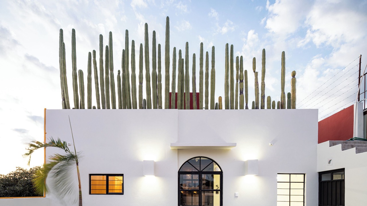 Photo of Outdoor in Ruta Independencia