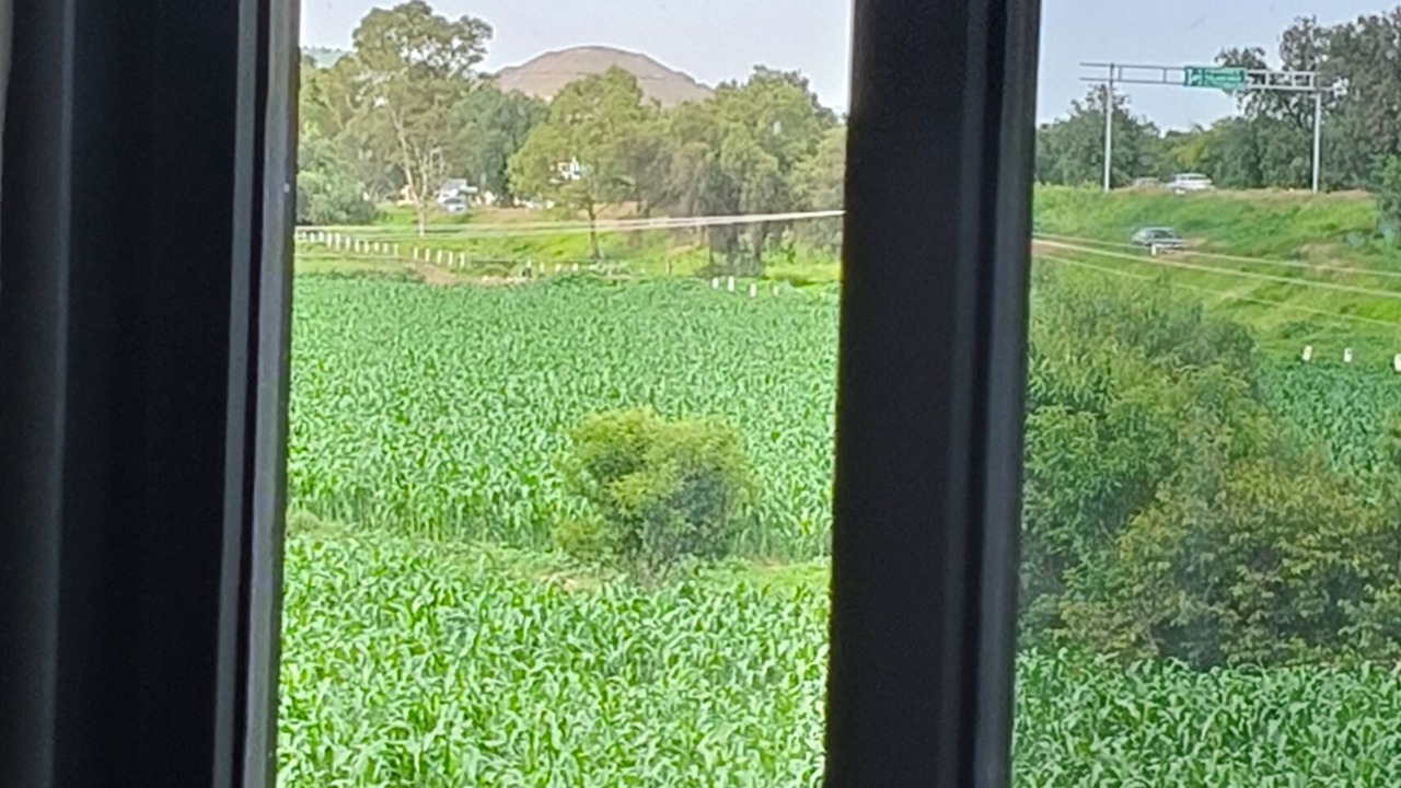 Photo of Others in Teotihuacan