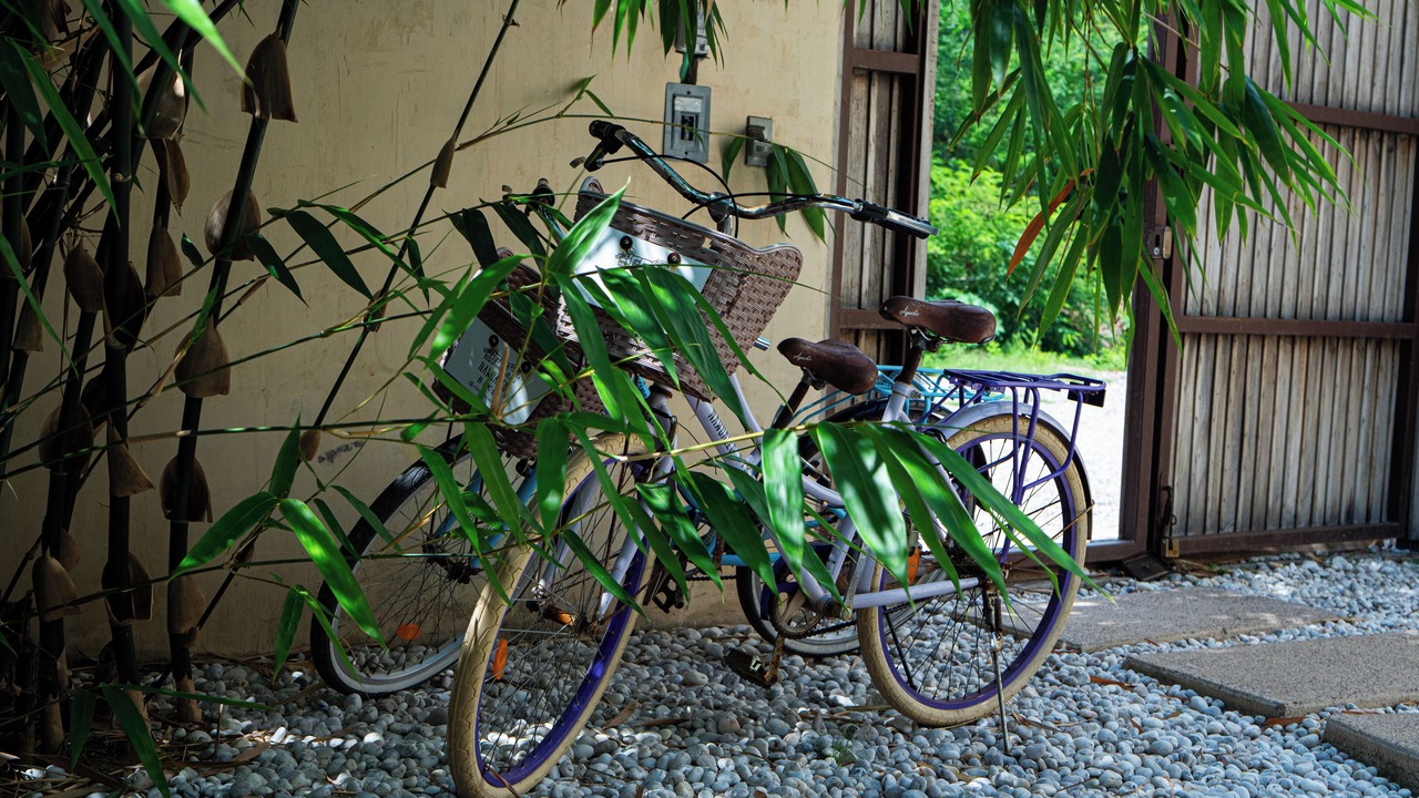 Photo of Outdoor in Perula