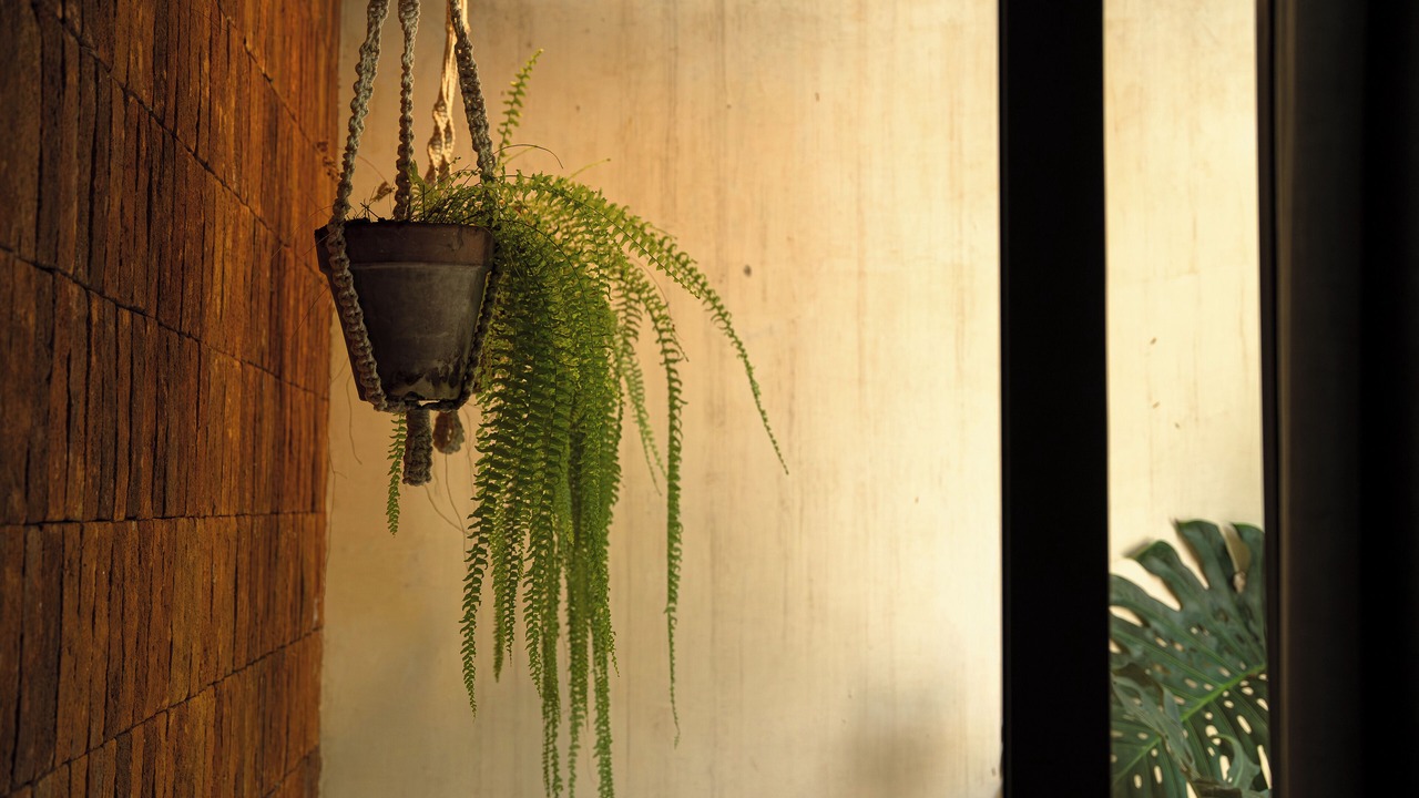 Photo of Outdoor in Perula