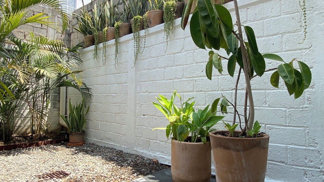 Photo of Outdoor in Las Jarretaderas