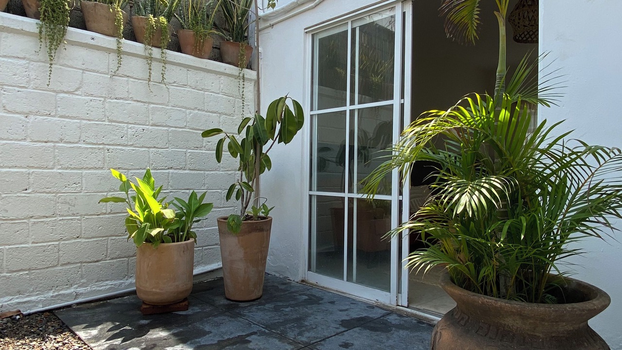 Photo of Outdoor in Las Jarretaderas