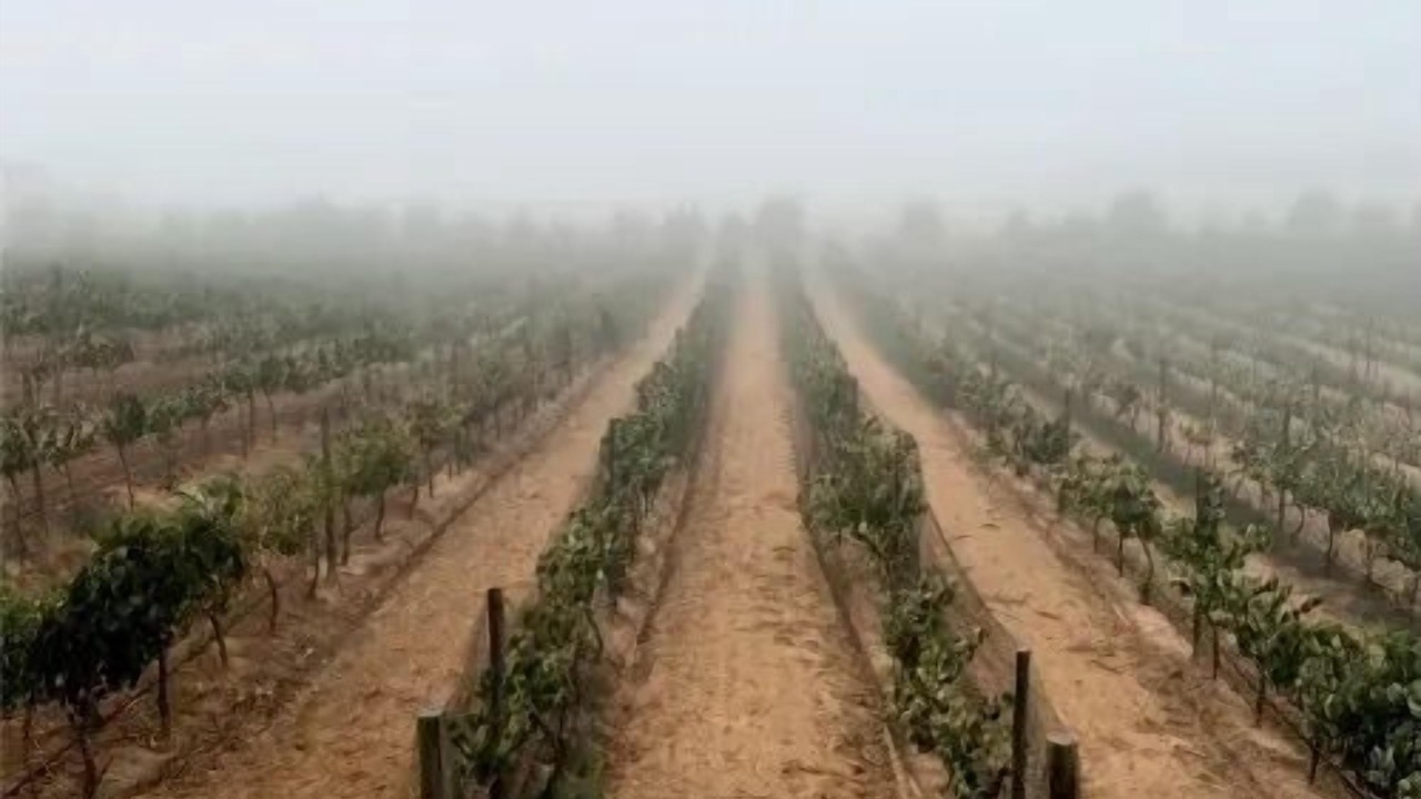 Photo of Outdoor in Valle de Guadalupe