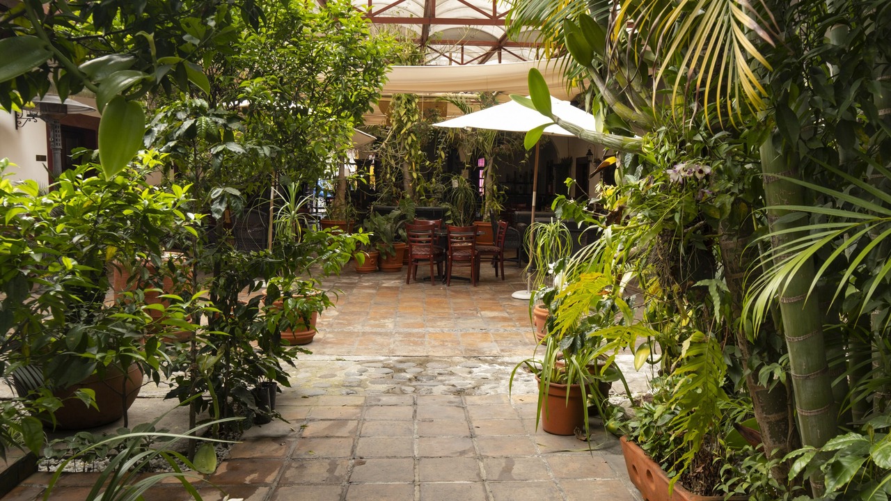 Photo of Patio Balcony in Coatepec