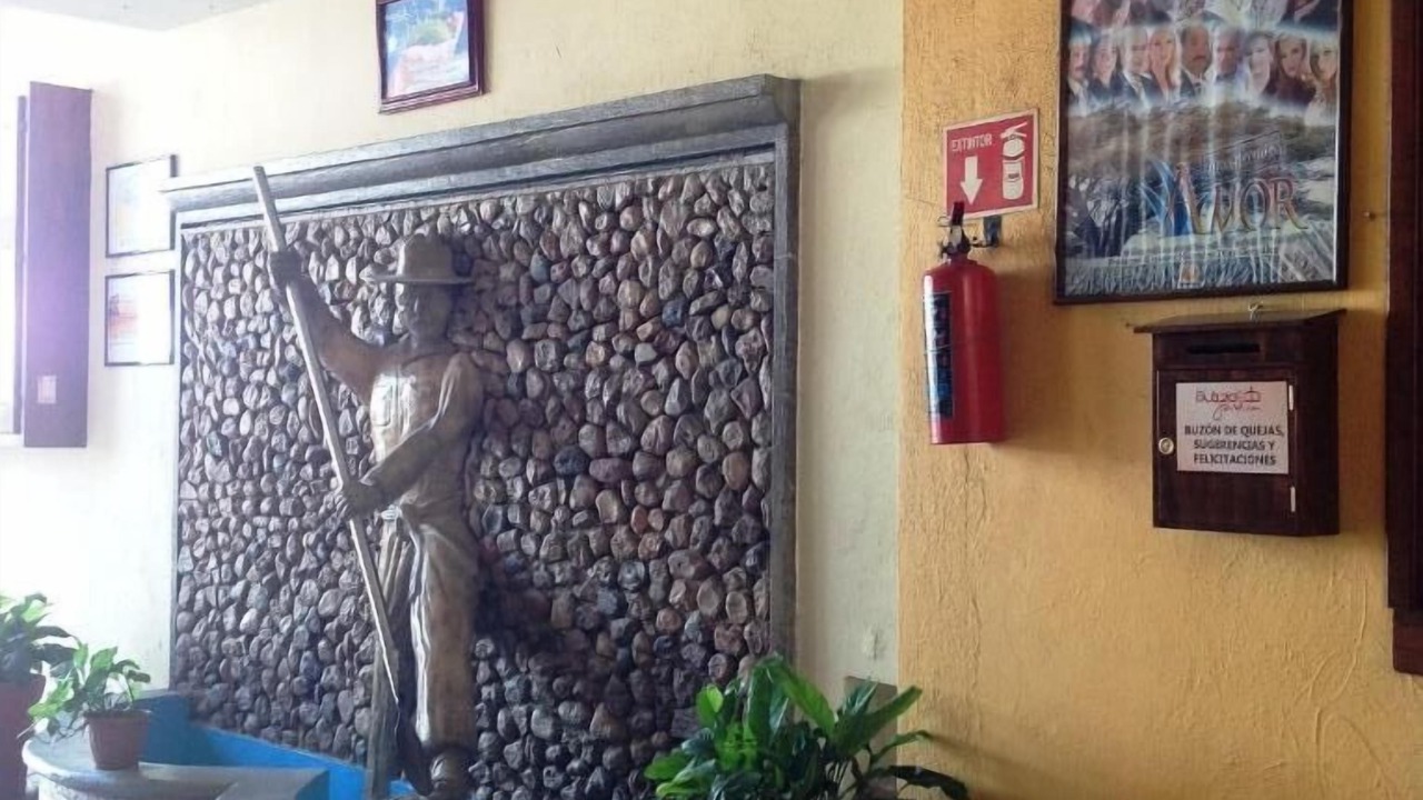 Photo of Others in Tequila
