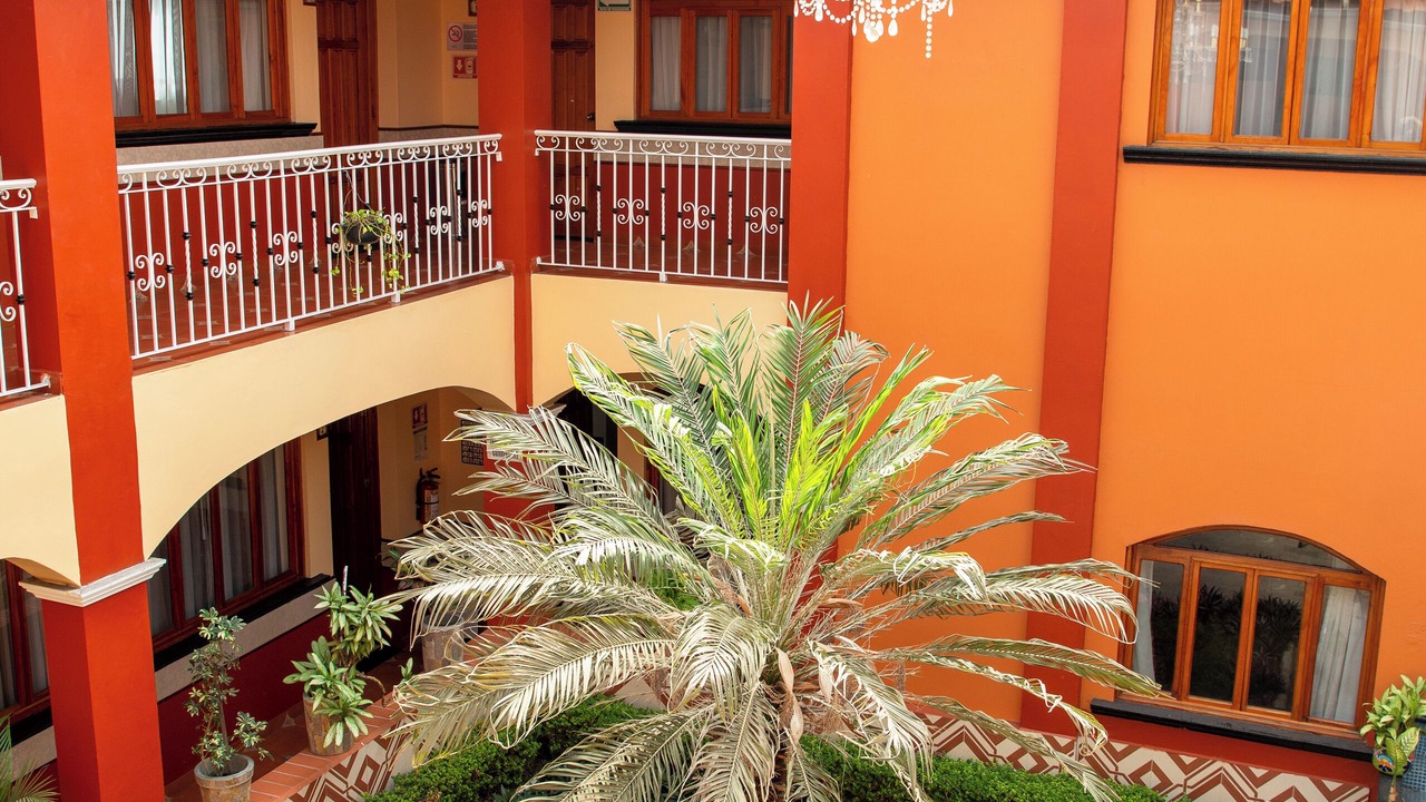 Photo of Outdoor in Xalapa