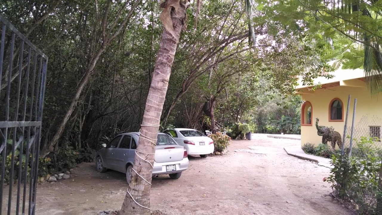 Photo of Outdoor in Los Ayala